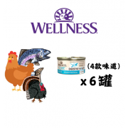 Wellness Core Digestive 貓罐頭 3oz 混合味道套裝（1箱=24罐）（平均 $18.5/罐）